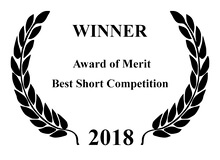 awards of merit 2018